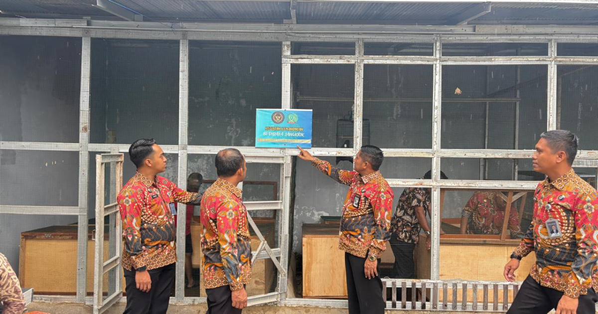 Inovasi Pembinaan, Kalapas Narkotika Karang Intan Bersama Jajaran Tinjau Langsung Budidaya Jangkrik