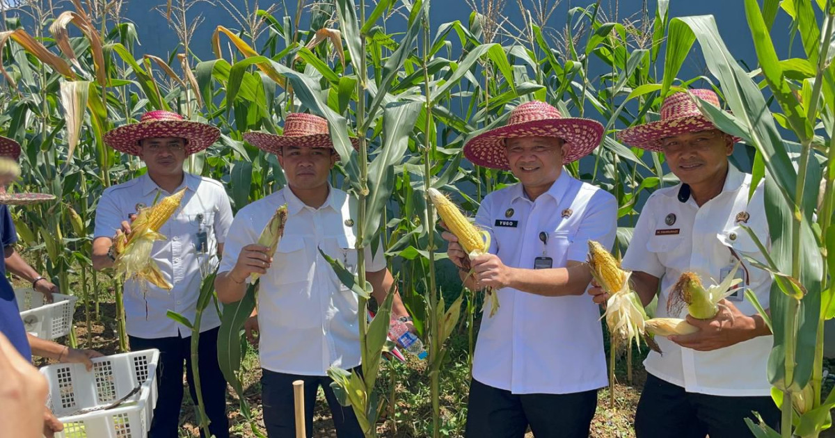 Kalapas Narkotika Karang Intan Tinjau Perdana WAE 2, Tanam Bibit Jagung Bersama Jajaran Sebagai Dukungan Ketahanan Pangan